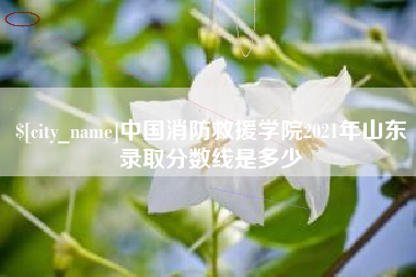 赤峰中国消防救援学院2021年山东录取分数线是多少