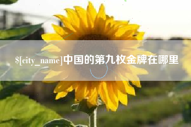 赤峰中国的第九枚金牌在哪里