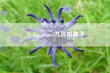 赤峰九宫格盘子