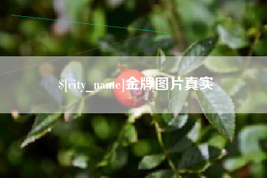 赤峰金牌图片真实
