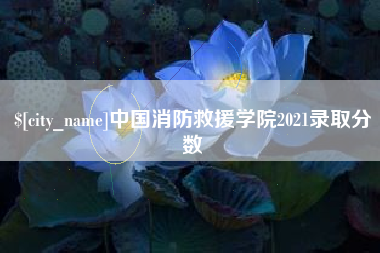 赤峰中国消防救援学院2021录取分数