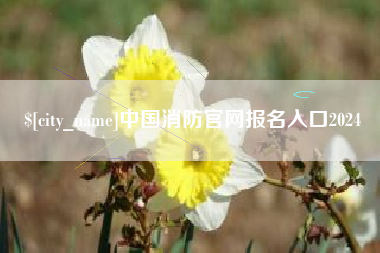 赤峰中国消防官网报名入口2024