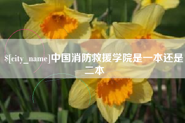 赤峰中国消防救援学院是一本还是二本