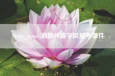 赤峰消防救援学院报考条件