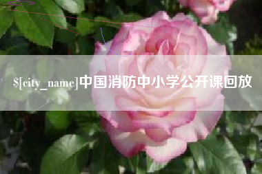 赤峰中国消防中小学公开课回放