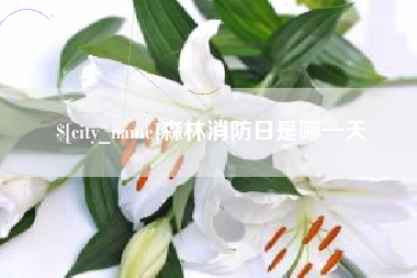 赤峰森林消防日是哪一天