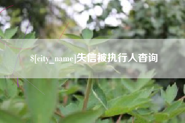 赤峰失信被执行人杳询