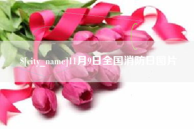 赤峰11月9日全国消防日图片