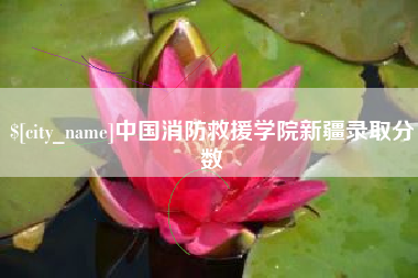 赤峰中国消防救援学院新疆录取分数