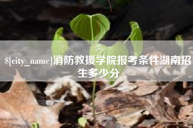 赤峰消防救援学院报考条件湖南招生多少分