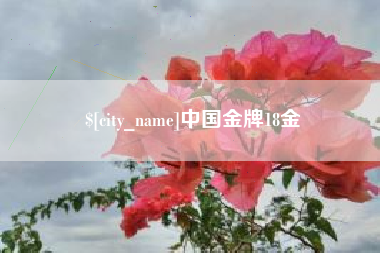 赤峰中国金牌18金