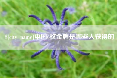 赤峰中国6枚金牌是哪些人获得的