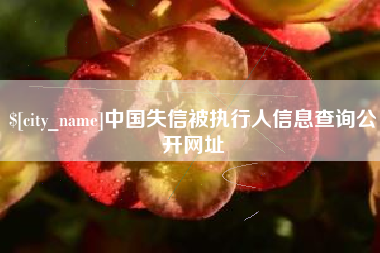 赤峰中国失信被执行人信息查询公开网址