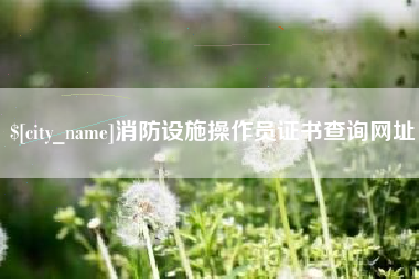 赤峰消防设施操作员证书查询网址