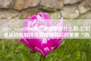 赤峰5000米世界冠军穿什么鞋-它们是运动员取得优异成绩背后的重要“功臣”