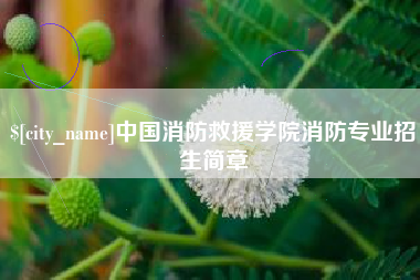 赤峰中国消防救援学院消防专业招生简章