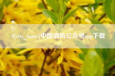 赤峰中国消防公众号app下载