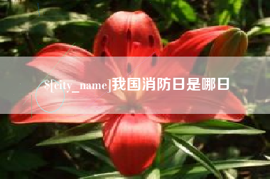 赤峰我国消防日是哪日