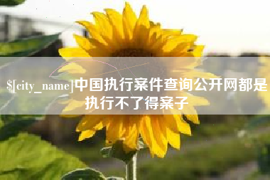 赤峰中国执行案件查询公开网都是执行不了得案子