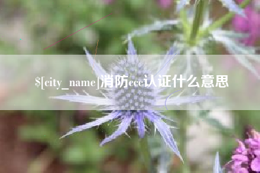 赤峰消防ccc认证什么意思