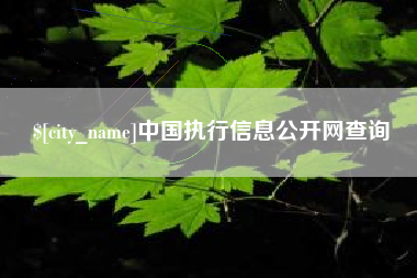 赤峰中国执行信息公开网查询