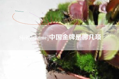 赤峰中国金牌是哪几项