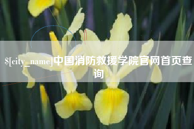 赤峰中国消防救援学院官网首页查询