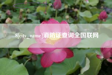 赤峰消防证查询全国联网