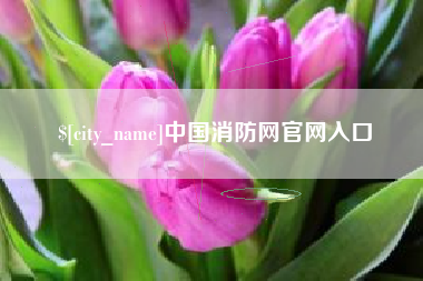 赤峰中国消防网官网入口