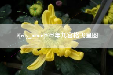 赤峰2022年九宫格飞星图