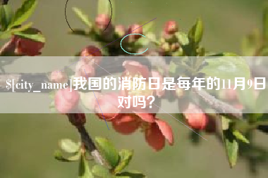 赤峰我国的消防日是每年的11月9日对吗？