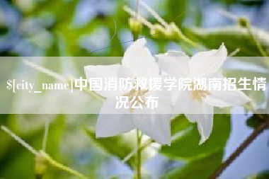 赤峰中国消防救援学院湖南招生情况公布