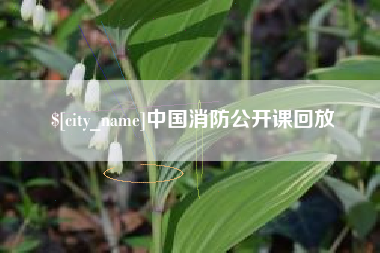 赤峰中国消防公开课回放