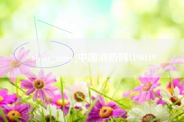 赤峰中国消防网1190119