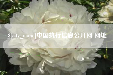 赤峰中国执行信息公开网 网址