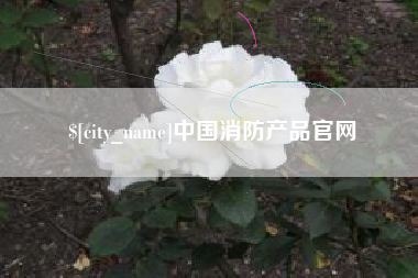 赤峰中国消防产品官网