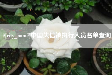 赤峰中国失信被执行人员名单查询