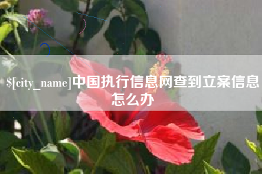 赤峰中国执行信息网查到立案信息怎么办
