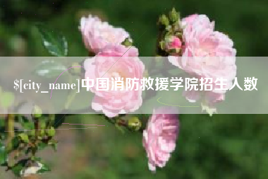 赤峰中国消防救援学院招生人数