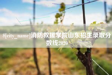 赤峰消防救援学院山东招生录取分数线2020