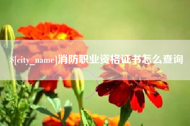 赤峰消防职业资格证书怎么查询