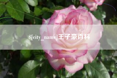 赤峰王子豪百科