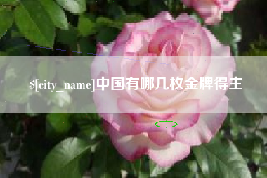 赤峰中国有哪几枚金牌得主