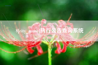 赤峰执行公告查询系统