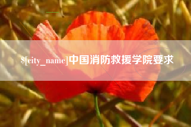 赤峰中国消防救援学院要求