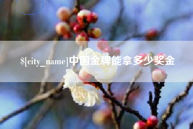 赤峰中国金牌能拿多少奖金