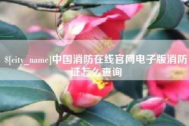 赤峰中国消防在线官网电子版消防证怎么查询