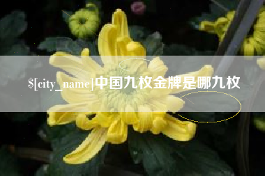 赤峰中国九枚金牌是哪九枚