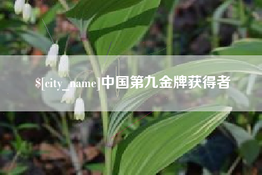 赤峰中国第九金牌获得者