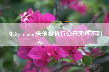 赤峰失信被执行公开网查不到